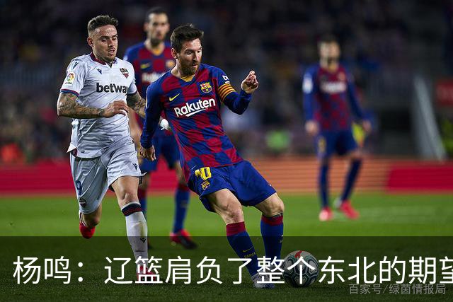 杨鸣：辽篮肩负了整个东北的期望 感谢球迷